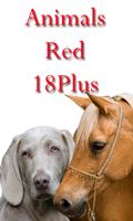 Animals Red 18Plus Affiche