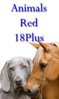 Animals Red 18Plus スクリーンショット 1