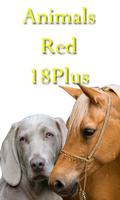 Animals Red 18Plus スクリーンショット 2