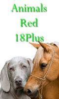 Animals Red 18Plus スクリーンショット 3