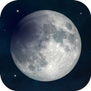 Moon Forecast Calendar: Zodiac APK