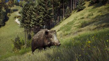 Way Of The Hunter Mobile screenshot 3