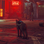 Alone Cat Stray Mobile