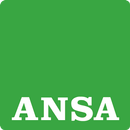 APK Ansa Mobile