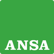 Ansa Mobile