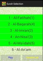 Quran Recitation imagem de tela 2