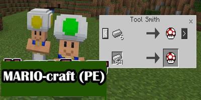 MARIO-craft (PE)2019 screenshot 3