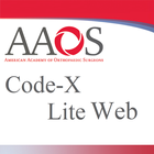 AAOS Code-X Lite Web icône