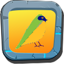 AndBird - Music Player aplikacja