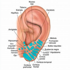 Icona Acupuncture