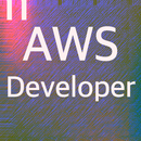Aws Developer Course APK