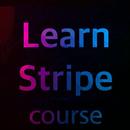 Learn Stripe Course APK