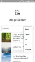 Image Search پوسٹر
