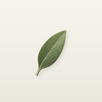 Tuno APK