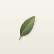 Tuno icon