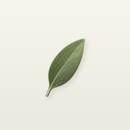 Tuno APK
