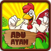 Adu Ayam APK