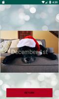 Advent Calendar Cats and Dogs تصوير الشاشة 1