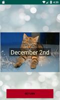 Advent Calendar Cats and Dogs تصوير الشاشة 2