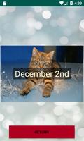 Advent Calendar Cats and Dogs اسکرین شاٹ 2