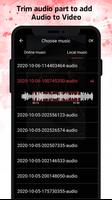 Audio Video Mixer captura de pantalla 2