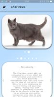 Cat and Dog Encyclopedia Ekran Görüntüsü 3