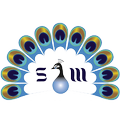 shine tracker