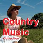 COUNTRY music-icoon