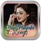 Hindi Punjabi Songs icône