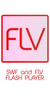 FLV Player App: flvto Video poster