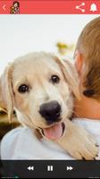 Adopting A Dog Audio Guide poster