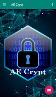 AE Crypt poster