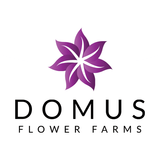 Domus Flower