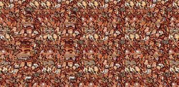 Stereogram Fun (Magic Eye)