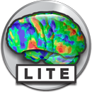 CueBrain! languages french etc APK