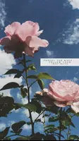 aesthetic background スクリーンショット 3