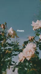 Baixar aesthetic background XAPK