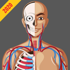 Anatomy Guide (Pocket Book) ไอคอน