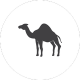 Ngamia Driver APK