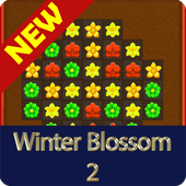 Winter blossom 2