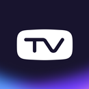 evo tv каналы APK