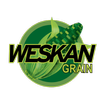 Weskan Grain