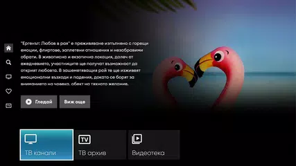 Neterra.TV (STB and AndroidTV) XAPK download