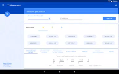 download Pneumatici T24 XAPK