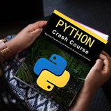 Learn Python icon