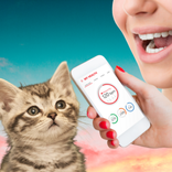 Translator Cat - Cat Dźwięki