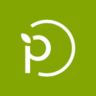 Platd আইকন