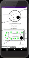 Zimsec Biology скриншот 1