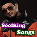 جميع اغاني سولكينغ بدون نت Soolking Songs 2021 APK