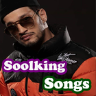 جميع اغاني سولكينغ بدون نت Soolking Songs 2021 icône